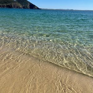 Meet your Posher, Alison